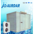 High Quality Cold Storage Refrigerator Freezer for Sale